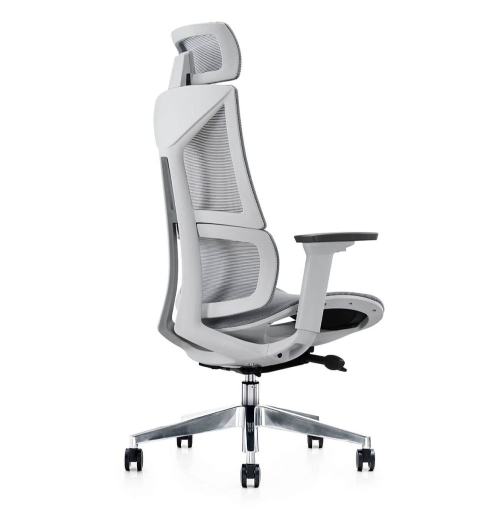 planet net ergonomska stolica nazad